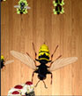 BEETLE SMASHER shortcut 2