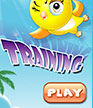 FLAP TRAINING shortcut 2