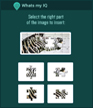 IQ TEST shortcut 2