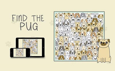 Find The Pug title