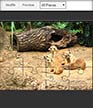 Canvas Puzzle shortcut 3