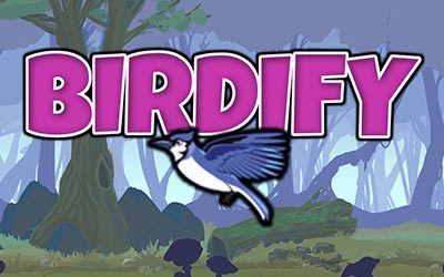 Birdify title