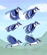 Birdify shortcut 1