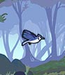 Birdify shortcut 2